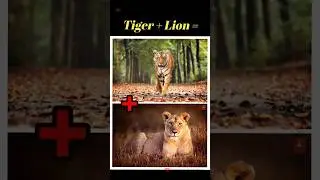 ☣️इंसानोद्वारा बनाये गये खतरनाक जानवर😳#trending #amazingfacts #shorts #short #viral #viralvideo