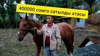 ЖЕРДЕ ТУЛПАРДЫ НАЗАРЫҢЫЗДАРГА ТАРТУУЛАЙБЫЗ