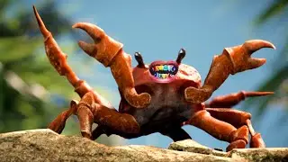 Crab Rave ft 6IX9INE
