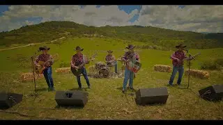 Tigre Colores - Clave Sierra (Live session)