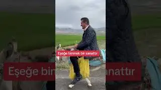 Mustafa Sarıgül - eşeğe binmek sanattır