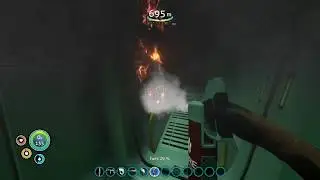 Dynamic Entry