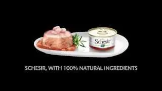 Schesir - 100% натуральный корм для кошек и собак
