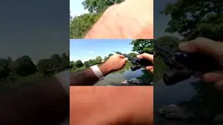 Catch and Release #shorts  #bass #bassfishing