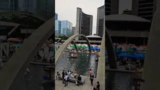 Taste of India festival 2024 Toronto  #short #samsungs23ultra #canada #toronto #fyp #viralvideo.