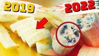 ЕШЬ ИХ ПОКА МОЖЕШЬ / ПРОДУКТЫ, КОТОРЫЕ СКОРО ИСЧЕЗНУТ