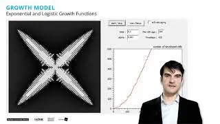 UMS 01 :: Growth Model