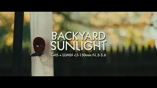 Backyard Sunlight (HD) (GH5 + Panasonic Lumix G Vario 45-150mm f/4-5.6 ASPH. MEGA O.I.S. Lens)