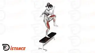 Step up avec relevé de genou