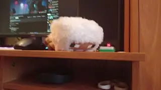 ДУМАЛИ ВСЕ ТАК ПРОСТО (Minecraft)