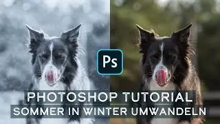 Photoshop Tutorial Schnee erzeugen - Aus Sommer wird Winter - Hundefotografie