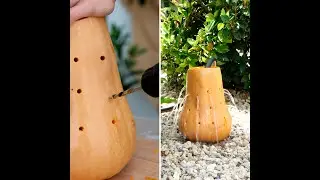 Smart gardening tips for a lush space 🌿 #shorts #planting #garden #diy #watering