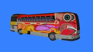 How a Bus works
