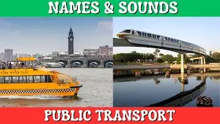 All Aboard! Exploring Public Transport for Kids || PUBLIC TRANSPORT for Kids – KIDS TV