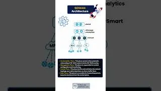 SDN Architecture Basics: Everything You Need to Know in 2024 #sdn #devnet