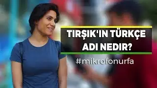 Tırşık'ın Türkçe adı nedir? Sokak röportajı #14