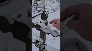 ПОРЧА НА СМЕРТЬ ЧЕРЕЗ ИГЛУ