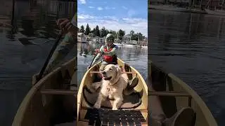 Paddle Pals