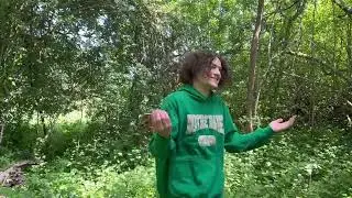 the hillbillies remix - ohvee