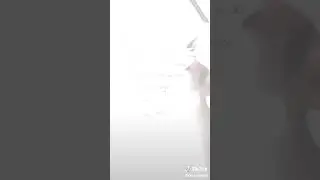 Плюс на плюс минус на минус