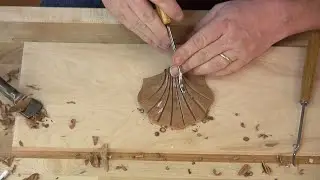 Woodcarving Basics: Carve a Scallop Shell