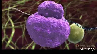 Nurses Zone(documentary)-by-Chipo James Mainda=Ebola Virus