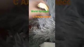 WORLD spriggan с алиэкспресс за 100 руб?