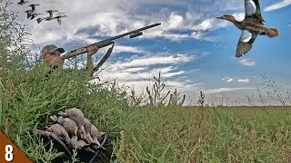 Ducks DUMPED Into My Spread! (Limited Out) | SOLO Afternoon Duck Hunt in HOT Weather