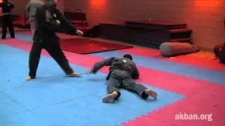 Tatsu nami, Kukishin ryu Dakentaijutsu - Ninjutsu technique for Akban wiki