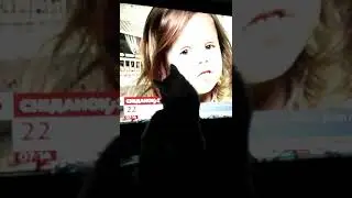 Кот Мышкин и прогноз погоды...