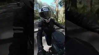 BEST MOTORCYCLE roads Australia - Bonang Highway