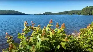 Understanding the Quabbin