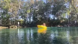 Kayaking in 3 Sisters Springs, Crystal  River Florida .