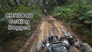Lost in the Jungle on my Sportsbike (17+ MINS OF MUDDY MADNESS)