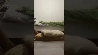 трюк невидимая коробка