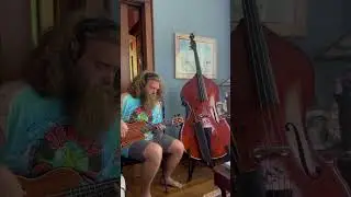 Kala U-Bass Demo!