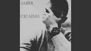 CiCaDaS