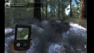 Играем в the Hunter #1. Косуля тусуется с лосём