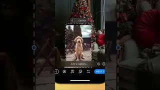 ФИШКИ ТЕЛЕГРАММА|Вырезы из фотографий в сторис. #shorts #telegram