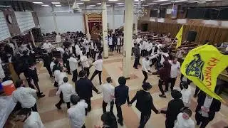 Adar dancing in 770