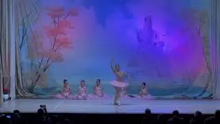 Coreografia do Ballet Ponte de Lima para Bela Adormecida