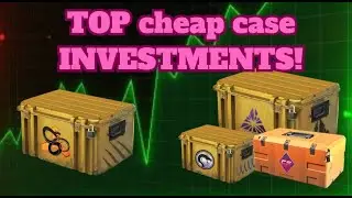 BEST cheap case INVESTMENTS in Cs2
