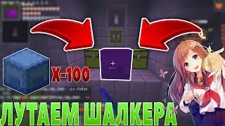 GRIFFER SHOW | LITTLE SHALKERS ON SERVER | HAS DECLINED 200 PANCIES | 100 SHALKERS | Minework