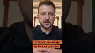 «Путин - больное существо» - Зеленский о ракетном обстреле