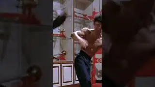 🐉⚡️✂️Takedown💥