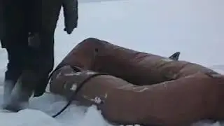 Водитель КАМАЗА 80 Уровень