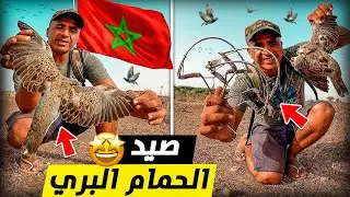 حياة البرية : العيش الحر تحدي صيد الحمام البري🕊 يوم كامل في البرية تحدي من أجل البقاء🔥