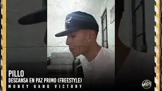 Pillo - Descansa en Paz Primo [Freestyle]