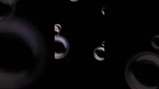 Втарая часть мультика КОШКА и ХОМА!!!