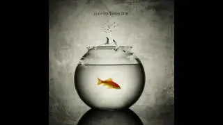 Balık, akvaryum | Goldfish in bowl Photoshop & Photography Manipulation